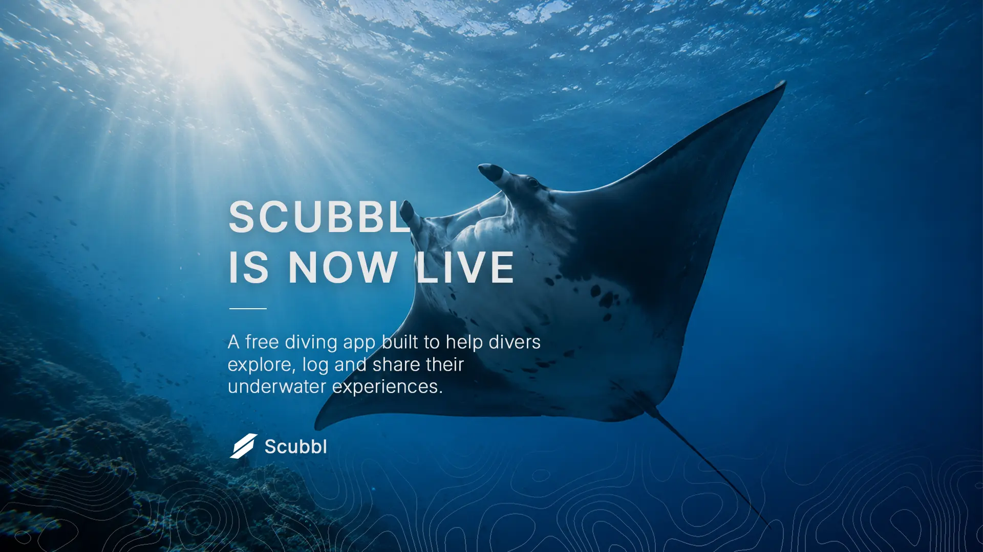 Scubbl app launch visual